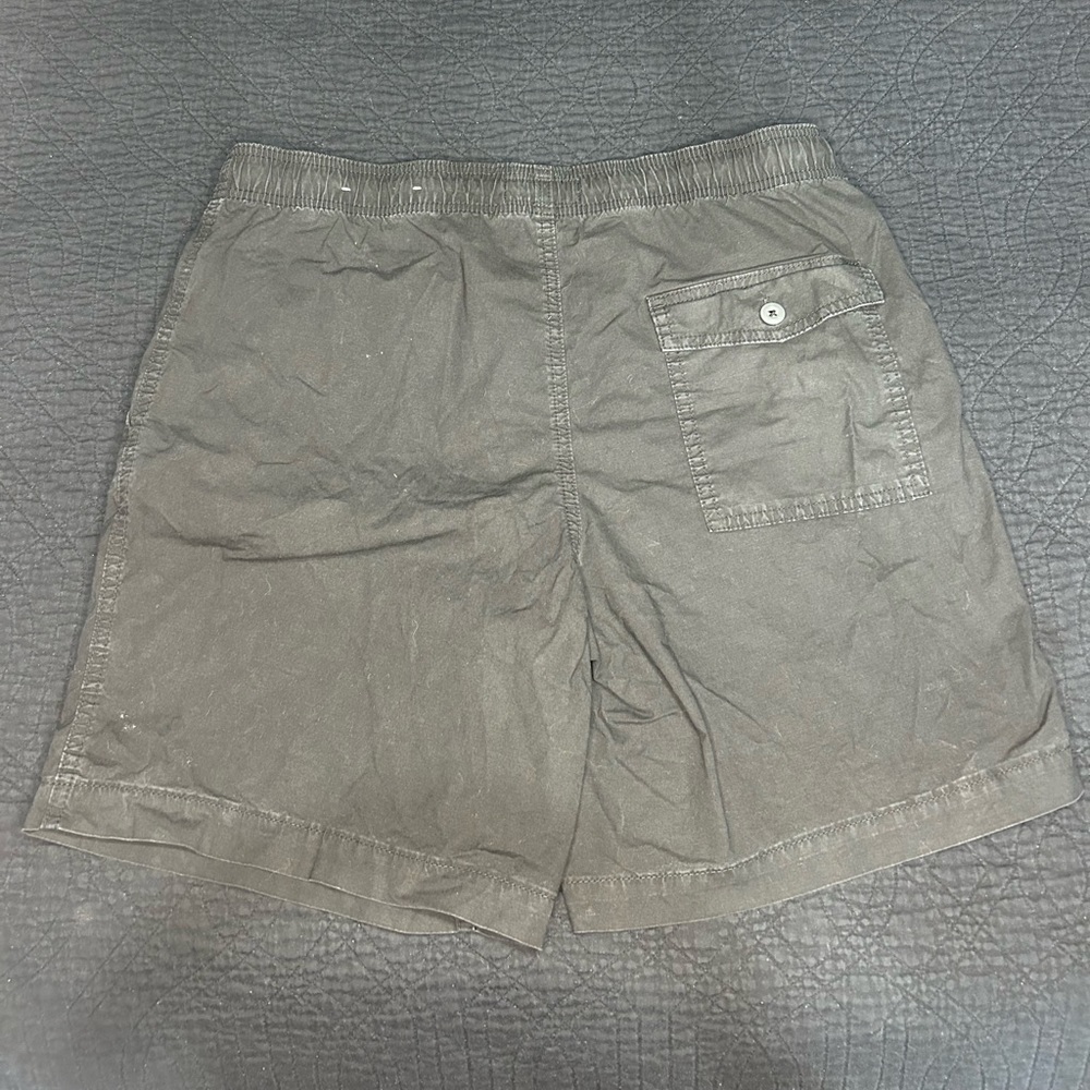 American Eagle Short